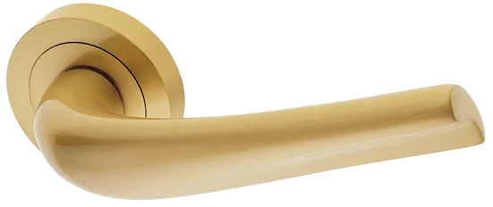 RAFT R2 OSA, ручка дверная, цвет - матовое золото фото купить Курск