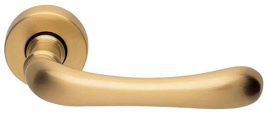 RING R3-E OSA, ручка дверная, цвет - матовое золото фото купить Курск
