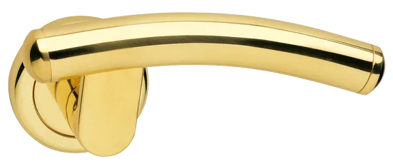 LUNA R4 OTL, ручка дверная, цвет - золото фото купить Курск
