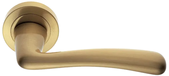 COCKATOO R2 OSA, ручка дверная, цвет - матовое золото фото купить Курск