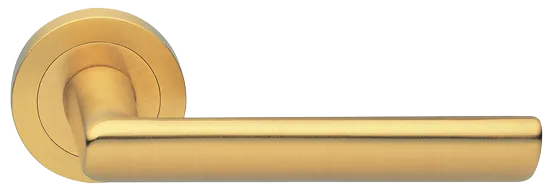 STELLA R2 OSA, ручка дверная, цвет - матовое золото фото купить Курск