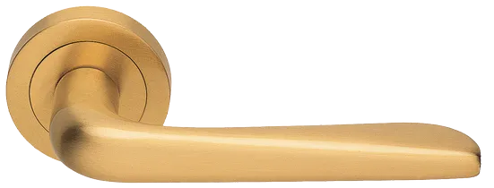 PETRA R2 OSA, ручка дверная, цвет - матовое золото фото купить Курск
