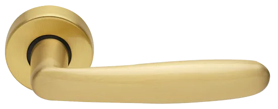 IMOLA R3-E OSA, ручка дверная, цвет - матовое золото фото купить Курск