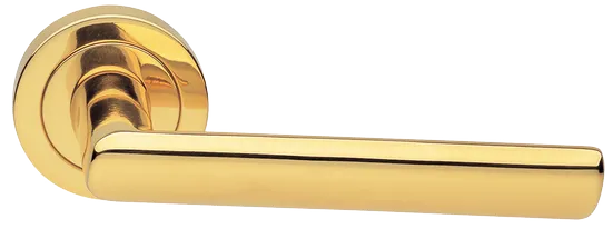 STELLA R2 OTL, ручка дверная, цвет - золото фото купить Курск
