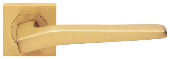 HILL S2 OSA, ручка дверная, цвет -  матовое золото фото купить Курск